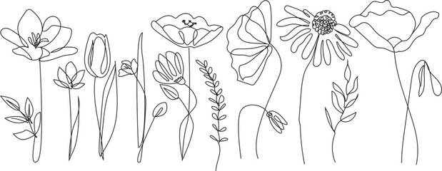 Set of Botanical Flower Line Art Decorations – Minimalist Floral Outline Vector Collection