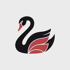 black swan vector