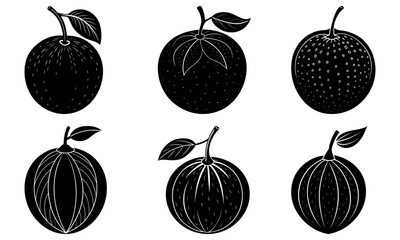 Fresh citrus collection, vibrant fruit for healthy living, vector illustration, perfect for summer designs and delicious recipes, clean line art