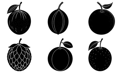 Vibrant citrus fruits collection perfect for summer designs and healthy living campaigns, featuring grapefruit, orange, and more in stylish silhouette form