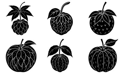 Elegant monochrome fruit medley illustration, perfect for minimalist designs, culinary themes, organic food branding, and stylish kitchen decor projects