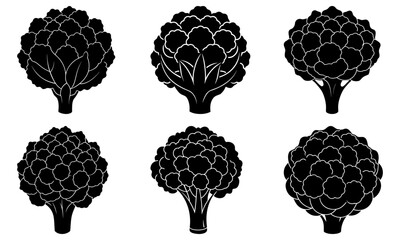 Elegant vector drawing of six cauliflower heads, ideal for food blogs, recipe sites, healthy eating guides, and organic produce marketing materials