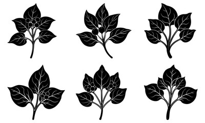 Elegant botanical plant set, perfect for design, weddings, or print projects. Add nature's touch with this classic collection of floral elements