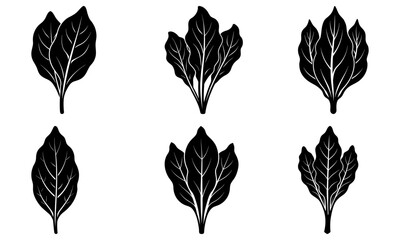 Elegant leafy botanical design elements for graphic design, branding, and product packaging projects, originally created as a scalable vector graphic
