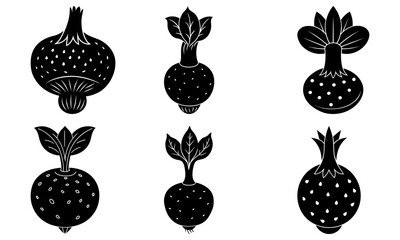 Unique organic beets artfully arranged for modern design projects, offering a fresh, natural, and healthy food concept with elegant culinary appeal