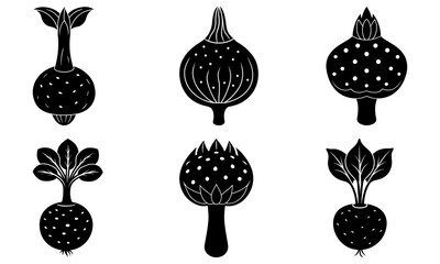 Whimsical vegetable art featuring unique radish designs, perfect for adding a touch of playful elegance to any project, offering a fresh, clean aesthetic