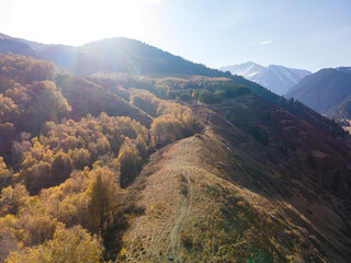 Obraz premium Autumn landscape in the mountains near Almaty, Kazakhstan. Yellow leaves on the trees and majestic mountains in the distance.