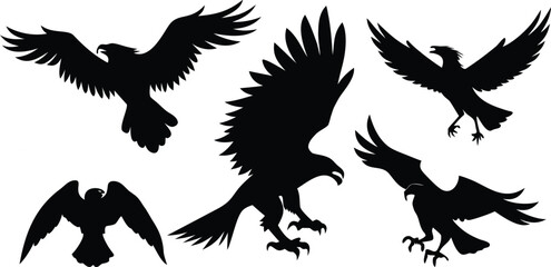 Obraz premium Five Black Silhouettes of Eagles in Flight and Landing