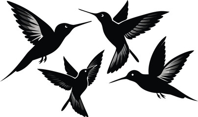 Obraz premium Four Black Hummingbird Silhouettes in Flight flying