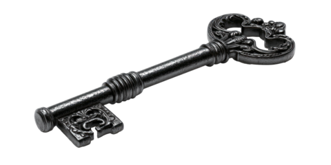 Black, detailed skeleton key. Intricate design on head and base. Long shaft. Isolated on black