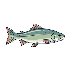 Fototapeta premium Stylized Salmon Fish Illustration on White Background for Design