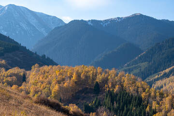 Autumn landscape in the mountains, golden autumn in the mountains near Almaty, Kazakhstan