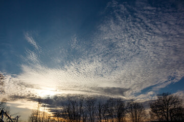 Stunning mackerel sky featuring wispy altocumulus clouds at dawn or dusk. Silhouetted bare trees line the horizon, contrasting with the vibrant sky above