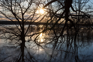 Dramatic silhouettes of trees submerged in floodwaters at sunset, casting serene reflections on the wavy surface. A tranquil evening scene showcasing nature's seasonal transformation