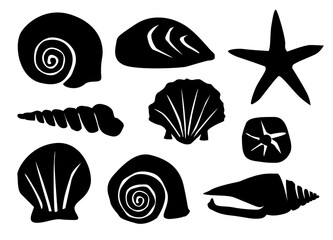 Sea Shells Vector Illustrations Graphics ocean beach collection shell star 