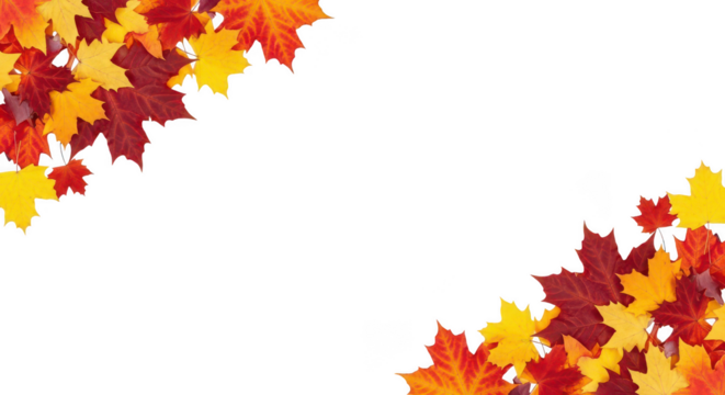 Autumn leaves in corner arrangement on transparent background