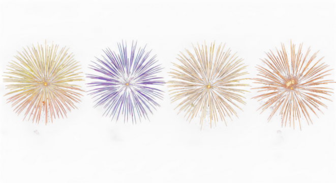 Fireworks display against dark sky on transparent background
