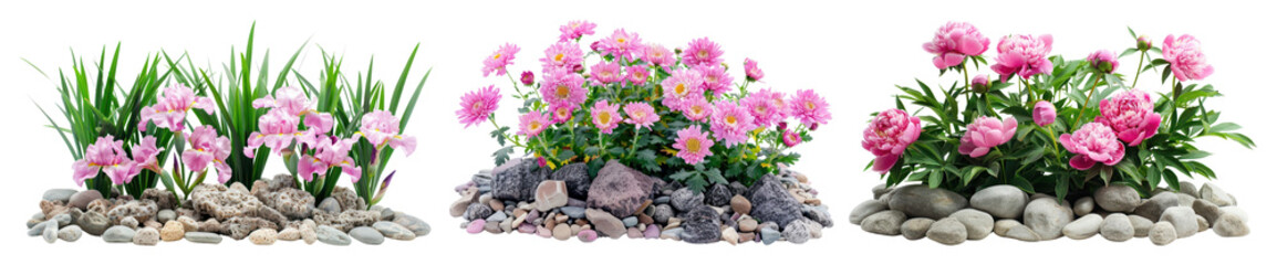 Naklejka na ściany i meble PNG Vibrant floral garden arrangement, element set on transparent background
