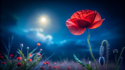 Vibrant red poppy blooms under a mystical moonlit night sky with soft blue hues