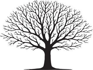  Silhouette of an old, leafless tree exhibits a stark beauty against