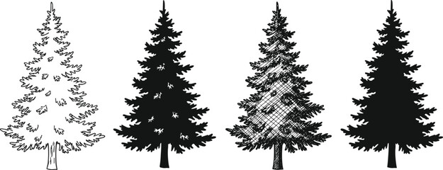 Pine tree illustration set — hand-drawn and silhouette evergreen conifers, forest nature sketch, black and white vector tree collection