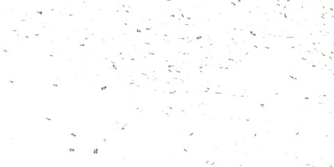 Abstract confetti silver glitter particles splatter on transparent background. Luxury silver glitter confetti that floats down falling bokeh celebration background.	
