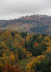 Złota jesień w g&oacute;rach &ndash; malowniczy krajobraz pełen kolorowych drzew, mgieł unoszących się nad doliną i ciepłego światła zachodzącego słońca. Fotograf uchwycił spokojną, naturalną scenerię g&oacute;rskiego pe