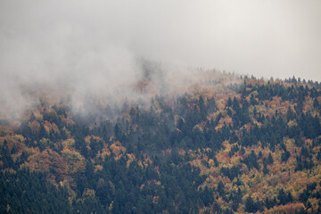 Złota jesień w g&oacute;rach &ndash; malowniczy krajobraz pełen kolorowych drzew, mgieł unoszących się nad doliną i ciepłego światła zachodzącego słońca. Fotograf uchwycił spokojną, naturalną scenerię g&oacute;rskiego pe