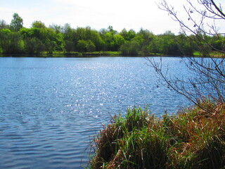 Riverside Nature Reserve in Guildford, England 