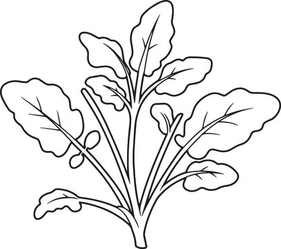 Elegant watercress sprig outline adorned with ethereal water dro