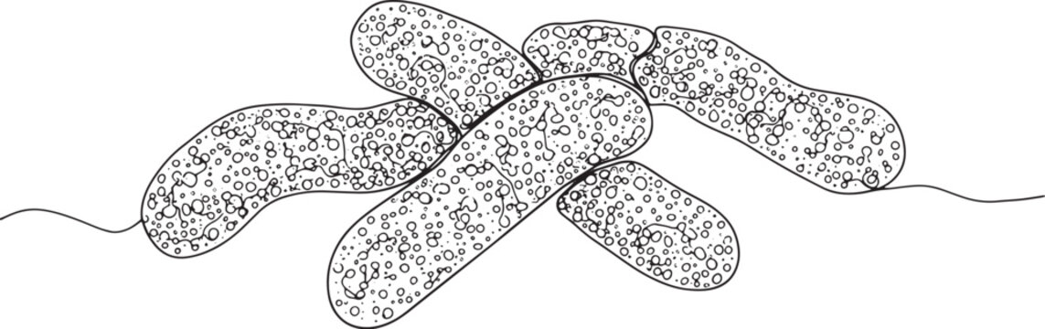 Abstract Monochrome Depiction of Bacterial Cells Under Microscop