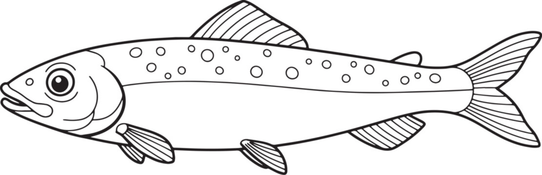 Detailed line art illustration of a smelt fish, emphasizing its
