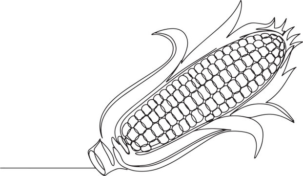 Elegant continuous line drawing of ripe corn cob isolated on whi