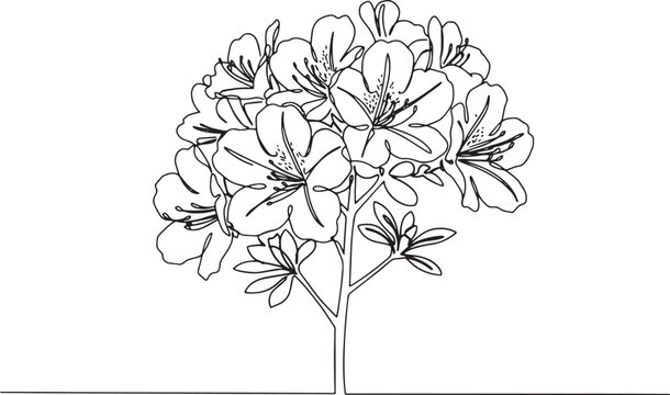 Elegant continuous line drawing of azalea plant with delicate bl