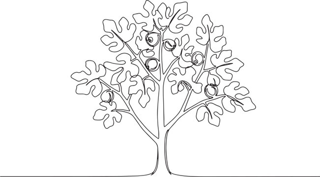 Elegant minimal continuous line drawing of fig tree with fruit a