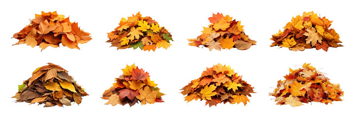 Colorful autumn leaves piles