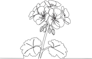 Elegant Geranium Blossom Continuous Line Art for Minimalist Flor