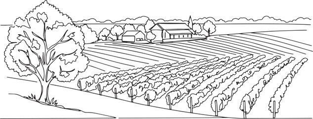Fototapeta premium Detailed line art illustration of a vineyard landscape with farm