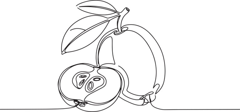 Minimalist line art illustration of nance fruit, isolated on a w