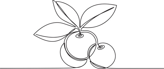 Minimalist continuous line drawing of fresh cherries with leaves