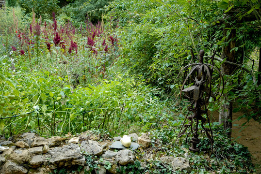 JARDIN DE CADIOT -24--42292.JPG