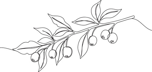 Elegant single line art of a berry branch with leaves against a