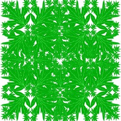 Full Coverage Green Leaf Pattern
A full coverage green leaf pattern creating a dense natural look, ideal for print design, textiles, and decorating purposes.