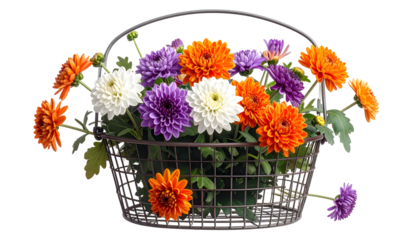 A wire basket overflows with vibrant, multi-colored chrysanthemums. Green leaves accent the display