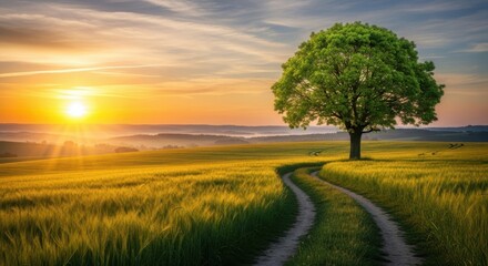 A solitary tree stands beside a winding dirt road through a sundrenched meadow at sunrise