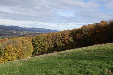 Naklejka premium Waldrand im Odenwald im Herbst