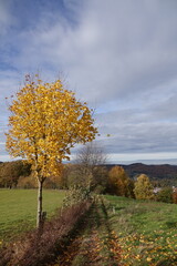 Naklejka premium Herbst im Odenwald