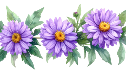 Watercolor-style floral border purple daisies with yellow centers and green leaves