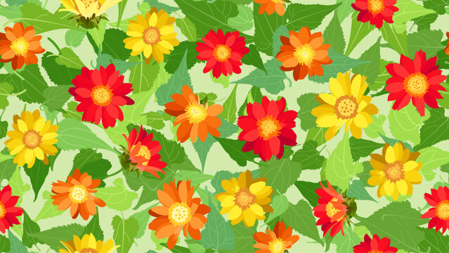 Seamless pattern mexican sunflower, tithonia diversifolia, bua tong. Background, wallpaper garden