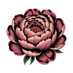 Obraz premium Vibrant vintage poster style pink peony flower detailed close-up artistic render with rich textures and lush petals